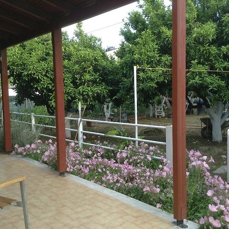Studios LaLu Skiathos Exterior foto
