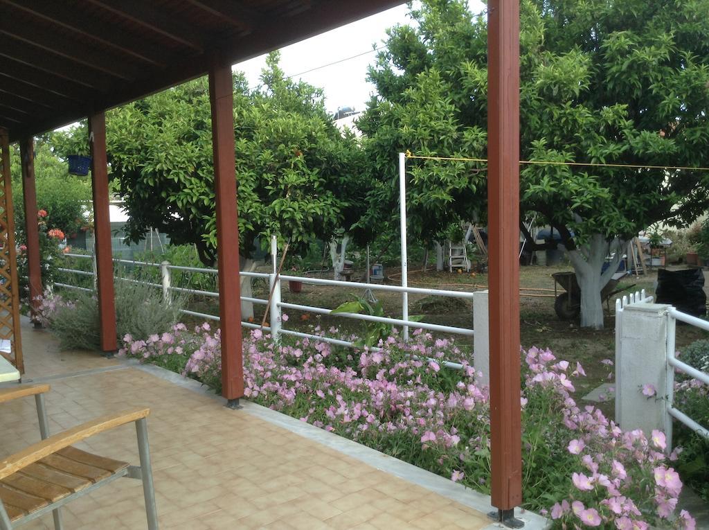Studios LaLu Skiathos Exterior foto